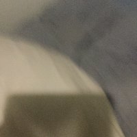 Ella (@theroamingpig) 's Twitter Profile