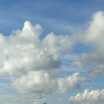 mystories37's profile picture. 正体はおしえない。自身の正直な気持ちや本音を語る高校生。よかったら相互フォローして欲しい。