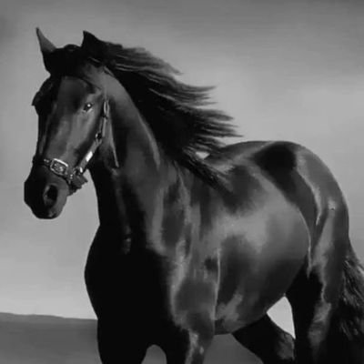 GAgG408nOAQc01d's profile picture. اليمن اصل العرب🇾🇪