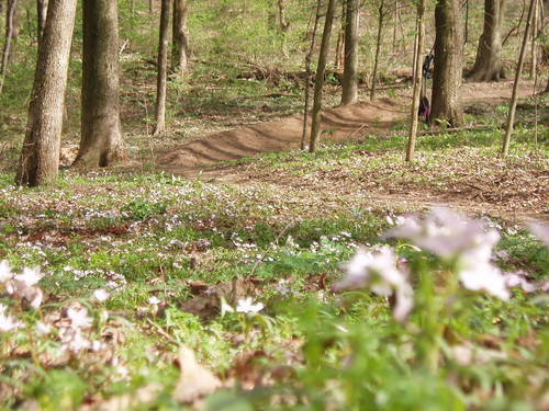 Devouparktrails's profile picture. 