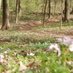 Devou Park Trails (@devouparktrails) Twitter profile photo