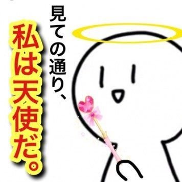 超低浮上の猫さんのプロフィール画像
