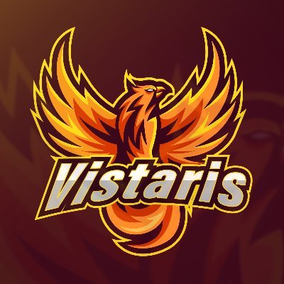 Vistaris_'s profile picture. COD
Main AR