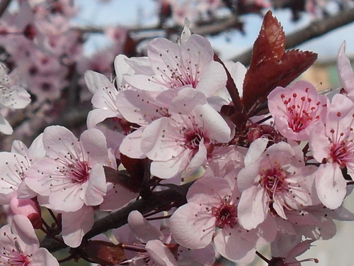 ENavarro72's profile picture. Algún día viviremos en El Toboso