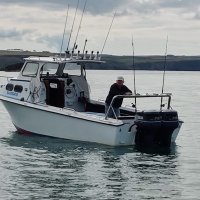 David Harries OBE (@dhfishguard) 's Twitter Profile Photo David Harries OBE (@dhfishguard) 's Twitter Profile Photo