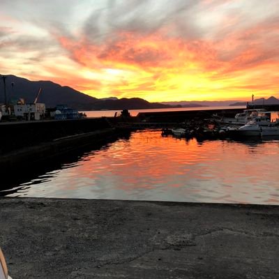 KvhVDWV99LDAvMv's profile picture. ちょっと短気