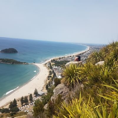 shortt_david's profile picture. 