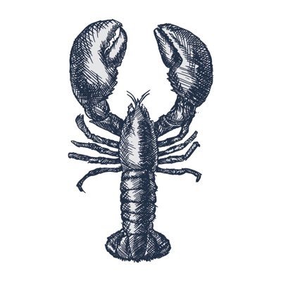 Live lobsters delivered to your (London) door direct from North Wales. We supply sustainable native lobsters to help fishermen affected by Covid-19 🦞