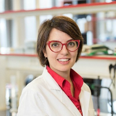 PieraSmeriglio's profile picture. Researcher in molecular biology - epigenetics