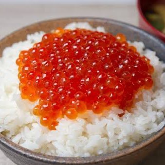 welcome_dd's profile picture. 発言はすべて冗談であり冷静なときのツイートなどはございません。@j_nakama_w7_3