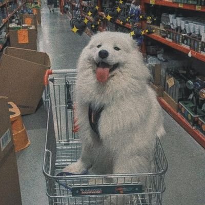 WaLaAuck's profile picture. 