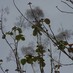 utpal chattopadhyay (@uc59) Twitter profile photo