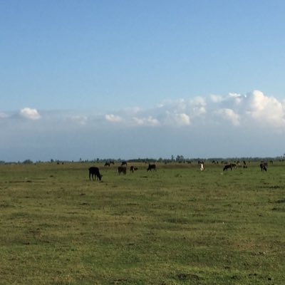 mikrob_402's profile picture. 