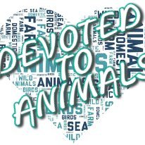 devoted2animals Profile Picture