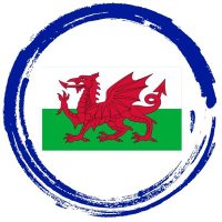 Diabetes Support Group Wales(@DiabetesWales) 's Twitter Profile Photo