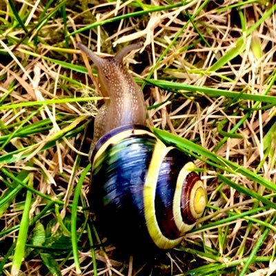 CAIP30's profile picture. 2021, looking forward to everything it may bring