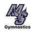 MHSS Gymnastics (@mhssgym) Twitter profile photo MHSS Gymnastics (@mhssgym) Twitter profile photo