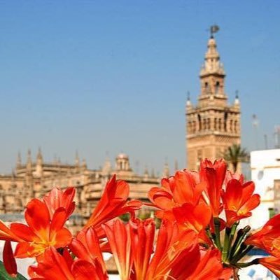 Sevilla Hotels Collection