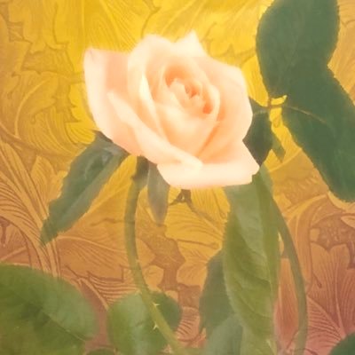 5yaneunayaneuna's profile picture. 