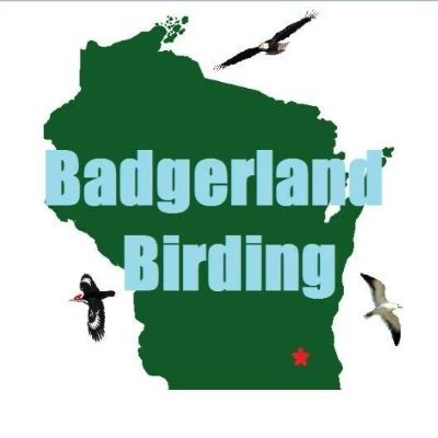 An an educational group doing outreach, tours, presentations, along with our show about birding, created in 2016 by two brothers, Derek and Ryan