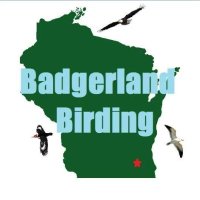 Badgerland Birding (@badgerlandbirds) 's Twitter Profile