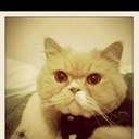 Polly Li - @PollyLi123 - Twitter