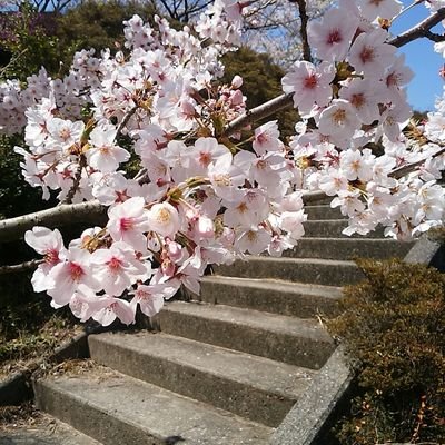 ujiujiのアイコン