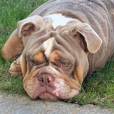 DebbiePattenXx's profile picture. 