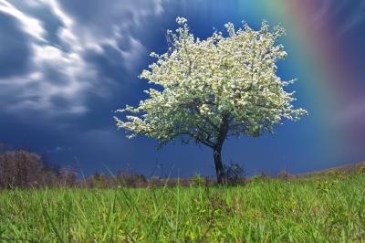 untoHimbeglory's profile picture. Follow Jesus.