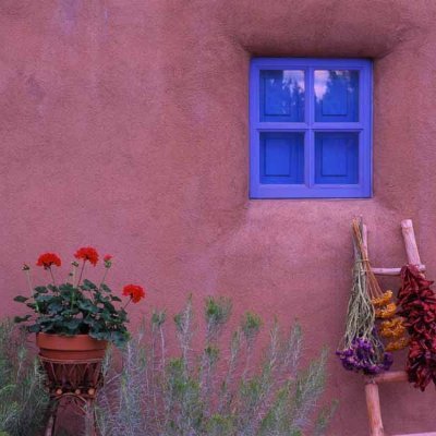 mourad72169831's profile picture. 