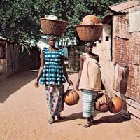 Ebrimabojang (@ebrimab54330540) 's Twitter Profile