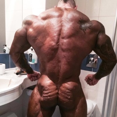 Bodybuilder Lover.. Especially those huge and roided as fuck, THE hottest and sexiest kind! The bigger the better, with bulging veins and muscles everywhere!!!!