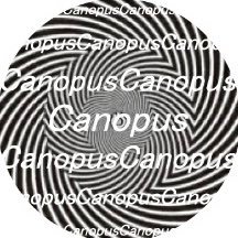 i_canopus Profile Picture