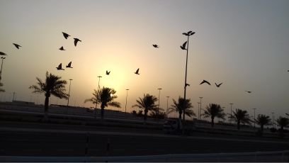 SBangladesh2's profile picture. I want to pure friend