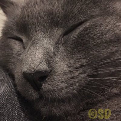 Pistis___Sophia's profile picture. ~~~ Paix et Amour pour chaque Être. ~~~