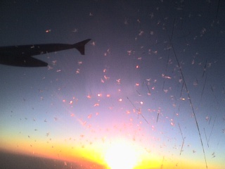 abritosa's profile picture. Family man. Family doctor. Amateur musician. Book lover. Skeptic. Interested in everything.