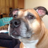 Just Jones (@keithericjones7) 's Twitter Profile