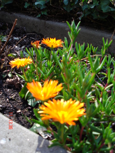 anemone2708's profile picture. living in Europe, intersts: humanrights,politics,history,music,travel