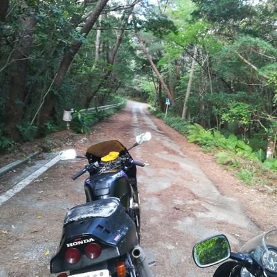 ryukyu_moto's profile picture. 独り言
#VALORANT/
#バイク/#オフロード