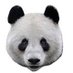 goinzoo (@goinzoo) Twitter profile photo goinzoo (@goinzoo) Twitter profile photo