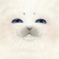 Phoca🦭 (@phocazarashi) 's Twitter Profile Photo Phoca🦭 (@phocazarashi) 's Twitter Profile Photo