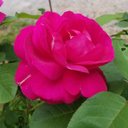 La Tina Duke - @LaTinaDuke1 - Twitter