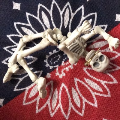紅茶さんのプロフィール画像