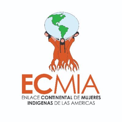 Somos el Enlace Continental de Mujeres Indígenas de las Américas e impulsamos el ejercicio pleno de nuestros derechos individuales y colectivos.