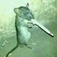 OmegaOverlord (@omegaoverlord2) 's Twitter Profile Photo OmegaOverlord (@omegaoverlord2) 's Twitter Profile Photo