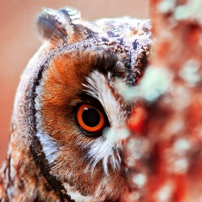 BrogrammerP's profile picture. No bio, bro...