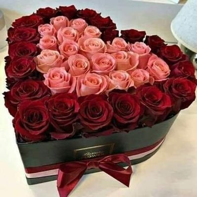 E1glkf5tBQdFiiI's profile picture. سفير الغرام مان