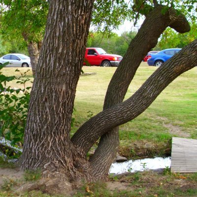 PalmTree008's profile picture. New acct w/0 followers. Called a media pundit whor-. NOT ok! Bc Johns have trademarked the word. But Twitter okays c**t. Yet that doesn't suggest u r a parasite