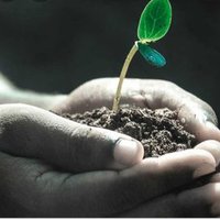 فَلاَّحٌ🍀 (@htcfpismxnu776r) Twitter profile photo