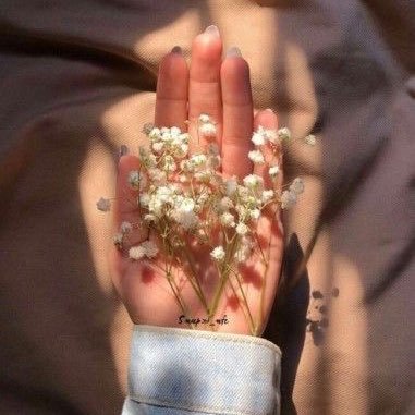 ath137's profile picture. يا ربّ قلبي والحنايا والأماني بين يديكّ يا ربّ كل صعب ليسَ بهيّنٍ إلا عليك.